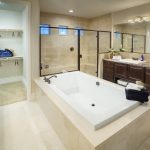 Vista_Sanctuary Master Bath