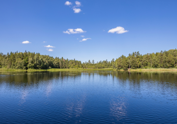 A photo of the water near Granite Bay, California.